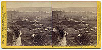 1208 - Panorama of Portland and the Willamette River, Oregon #8