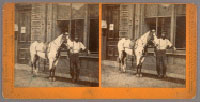 Click for hi-res image