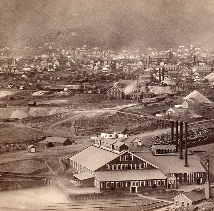 Watkins #4123 - Panorama of Virginia City from the North End. No. 4.
