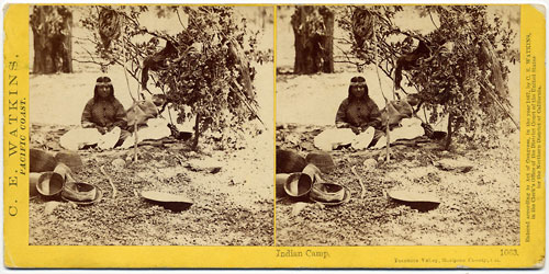 #1063 - Indian Camp, Yosemite Valley, Mariposa County, Cal.