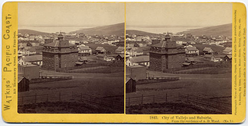 #1845 - City of Vallejo and Suburbs. From the residence of A.D. Wood. (No. 7)