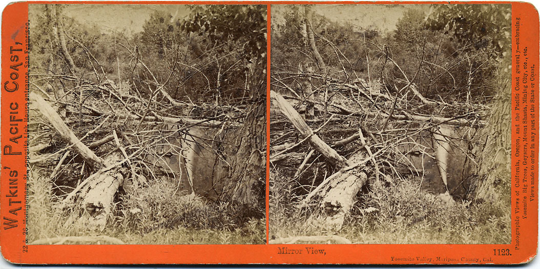 Watkins #1123 - Mirror View