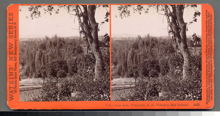 Watkins #4420 - View from Lake Vinyard, B.D. Wilson's, San Gabriel, Cal.