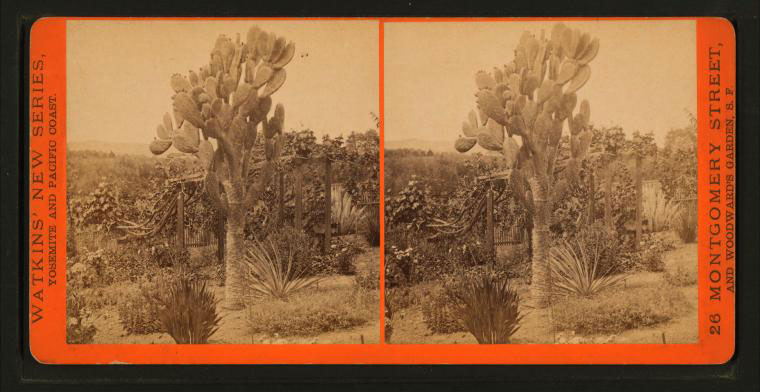 Watkins Unnumbered View - Untitled View