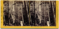 1239 - Multnomah Falls, Columbia River