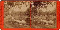 1912 - Lawn View at T. H. Selby's Residence, Fair Oaks, Cal.